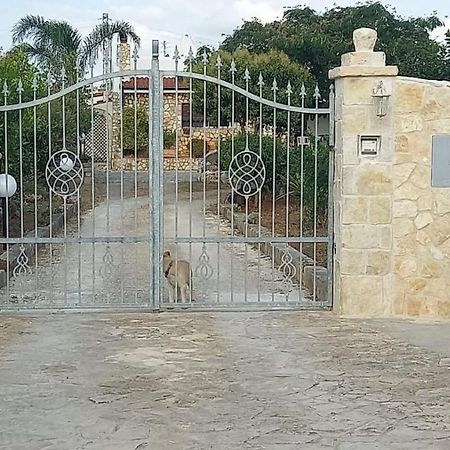 Casetta Albizia San Vito dei Normanni Zewnętrze zdjęcie